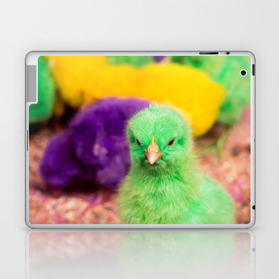 chicks Laptop & iPad Skin