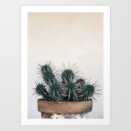 cactus I Art Print
