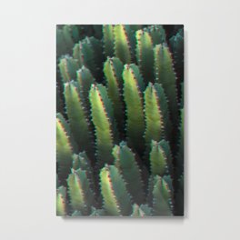 Cactus family Metal Print