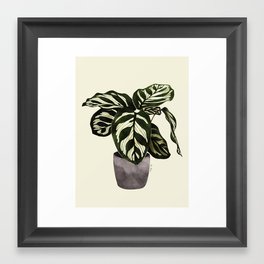 calathea botanical interior plant Framed Art Print | Pattern, Botanical, Interior, Painting, Green, Foliage, Plants, Vase, Monstera, Curated 