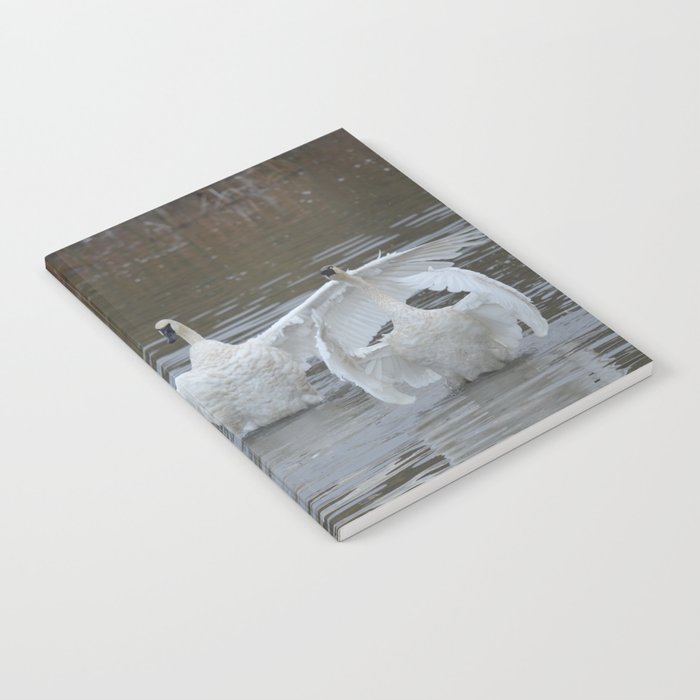 Swan Dance - Two out of Three Notebook