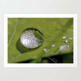 Raindrop Gem Photograph Art Print