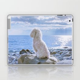Beige Poodle Sitting On White Stone Laptop Skin