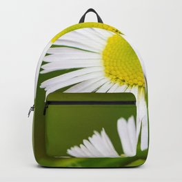Bellis perennis is a common daisy Backpack