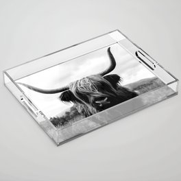 Scottish Highland Cattle in Black and White - Animal Photograph Acrylic Tray