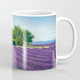 Beautiful cottage among lavender fields in Provence, France Mug
