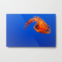 Jellyfish Metal Print