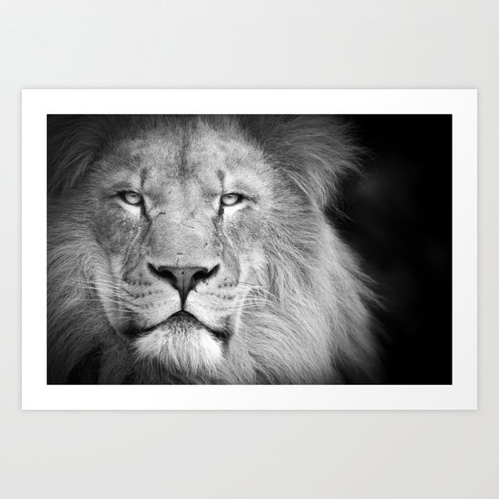 Lion Art Print
