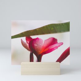Growing Bloom Mini Art Print