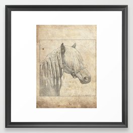 Horse with braids Framed Art Print