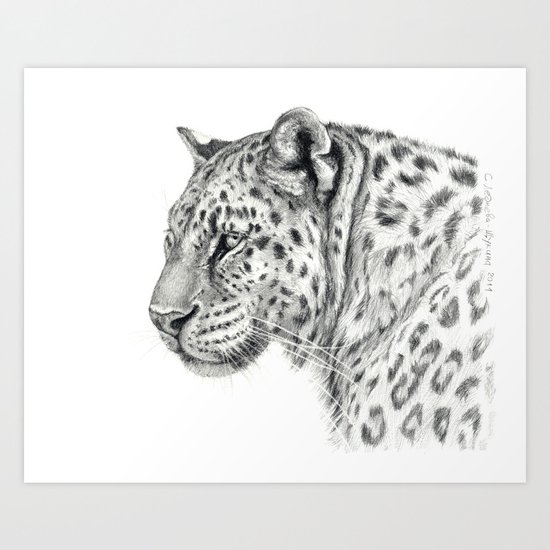 Panthera G013 Art Print