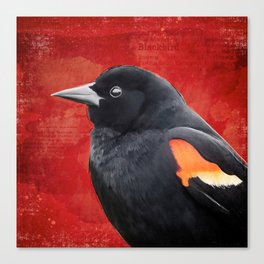 Red-winged Blackbird Bird Painting, Red and Black Canvas Print