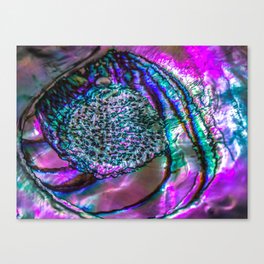 Abalone Shell Canvas Print