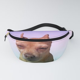 Rainbow Chihuahua Fanny Pack