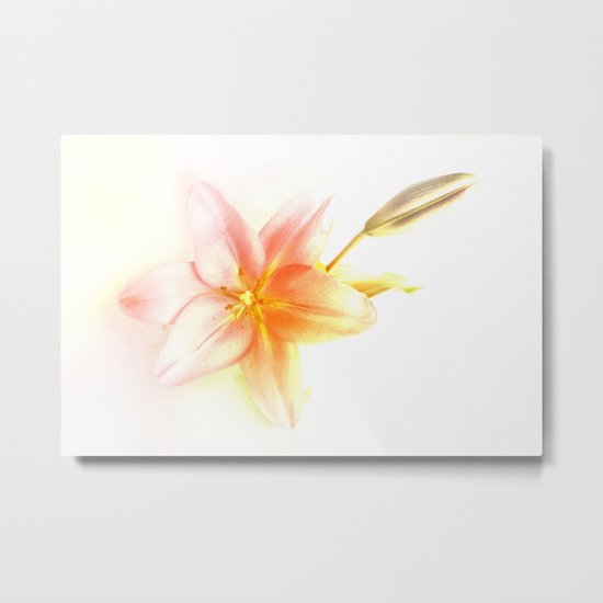 Pink and Yellow Tiger Lily - Dreamy Floral Photography - Flower Art Prints, T-shirts, Phone Cases... Metal Print