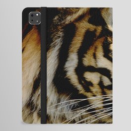 Close-up of Sumatran tiger on a black background iPad Folio Case