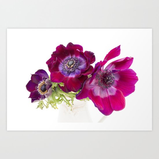 Anemone Trio Art Print