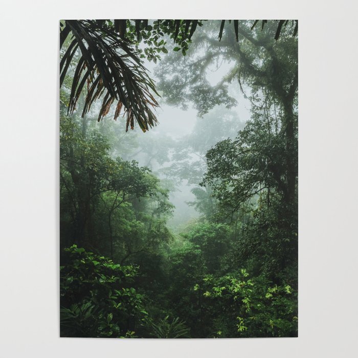 Jungle Poster