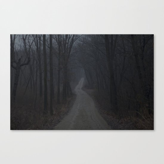 Into the Mist Canvas Print