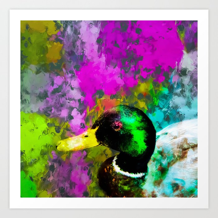 Mallard Duck With Pink Blue Green Yellow Painting Abstract