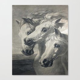 The Pharoah's Chariot Horses  Canvas Print