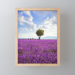 Lavender flower field and lonely tree. Provence, France Framed Mini Art Print