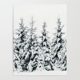 Snow Porn Poster