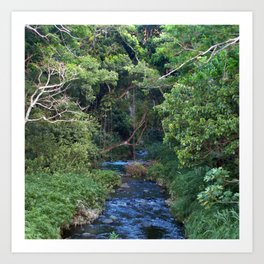 Remote River in Costa Rica Rainforest Jungle Art Print