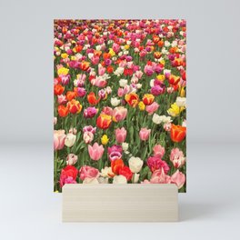Tulip Festival Mini Art Print