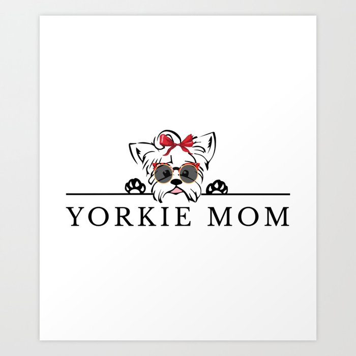 Teacup yorkie with bow cheap