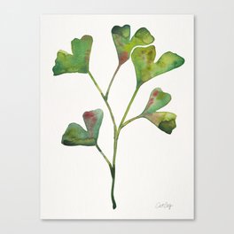 Ginkgo Biloba – Green Canvas Print