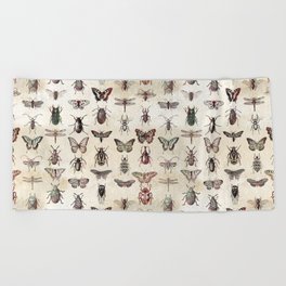 Antique Insects Beach Towel