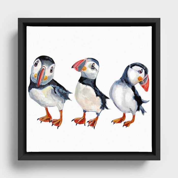 puffins Framed Canvas