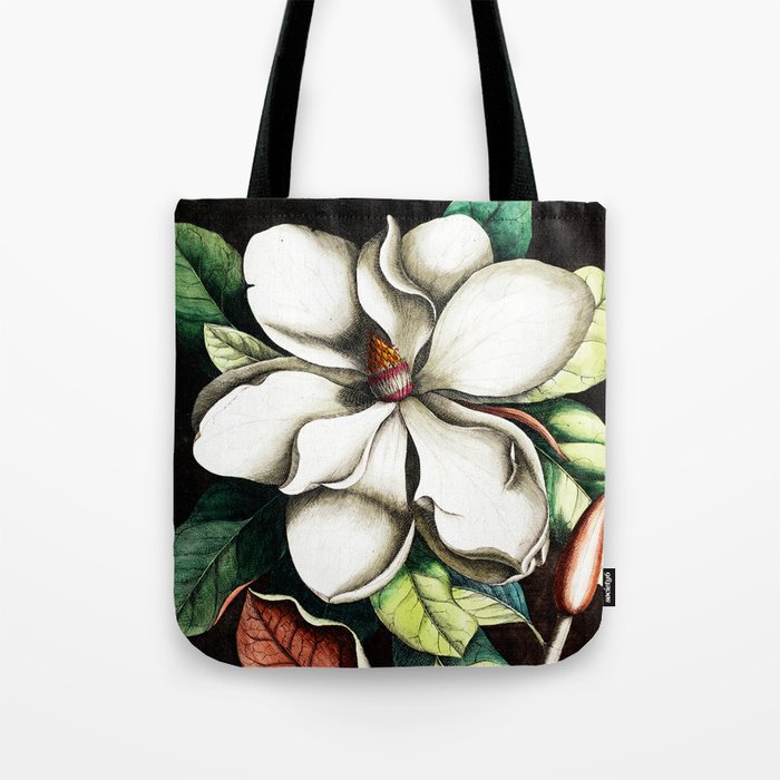 Magnolia by Mark Catesby Tote Bag
