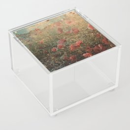 Faded vintage California poppies blooming summer field Acrylic Box