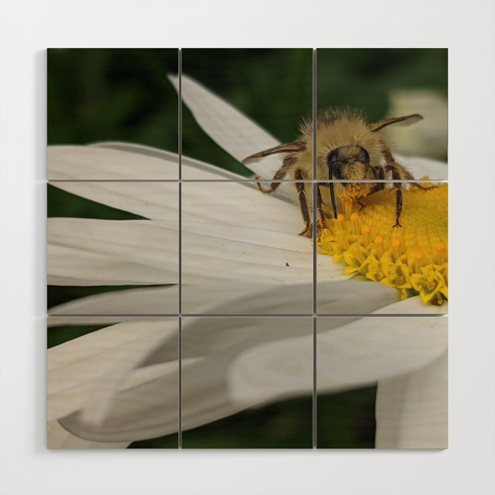 Busy As A Bee: Messy Eater Wood Wall Art