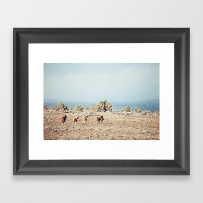 Oregon Wilderness Horses Framed Art Print