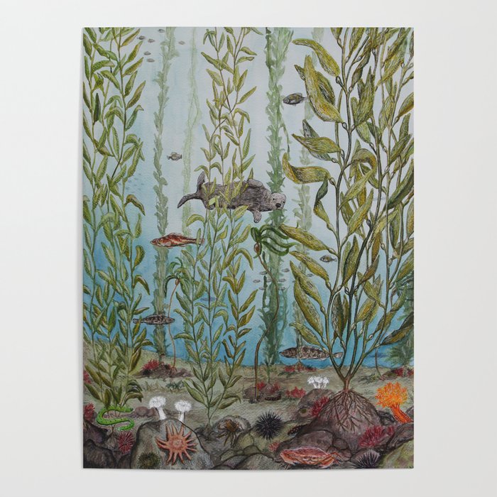 Kelp Forest Poster