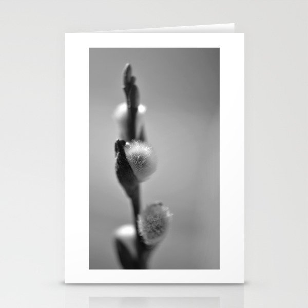Spring art print with pussy willow Stationery Cards