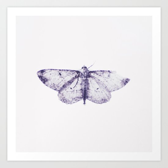 Butterfly Art Print