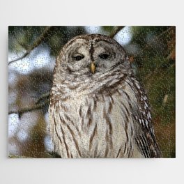 Barred owl Jigsaw Puzzle