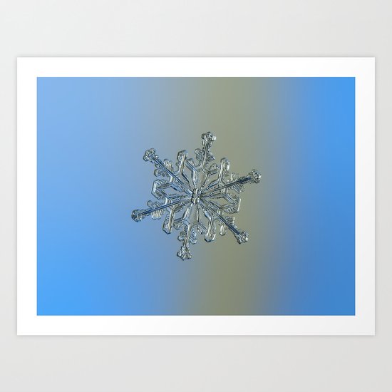 Real snowflake macro photo - 13.02.17 2 Art Print