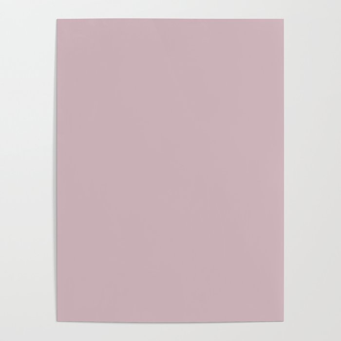 Sherwin Williams Trending Colors of 2019 Delightful (Pale Pastel Pink) SW 6289 Solid Color Poster