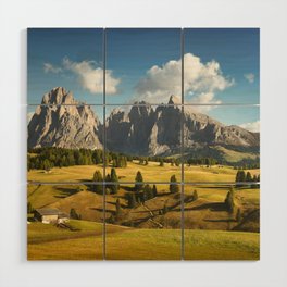 Alpe di Siusi and Sassolungo mountain, Dolomites Alps, Italy Wood Wall Art