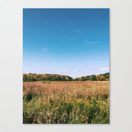 Morning in the Countryside  Canvas Print