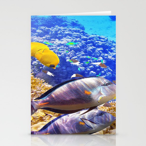 porcupine fish Stationery Cards