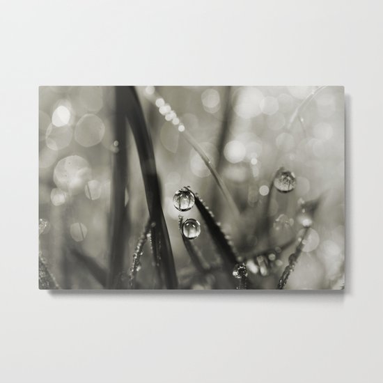 Rain Sparkles Metal Print