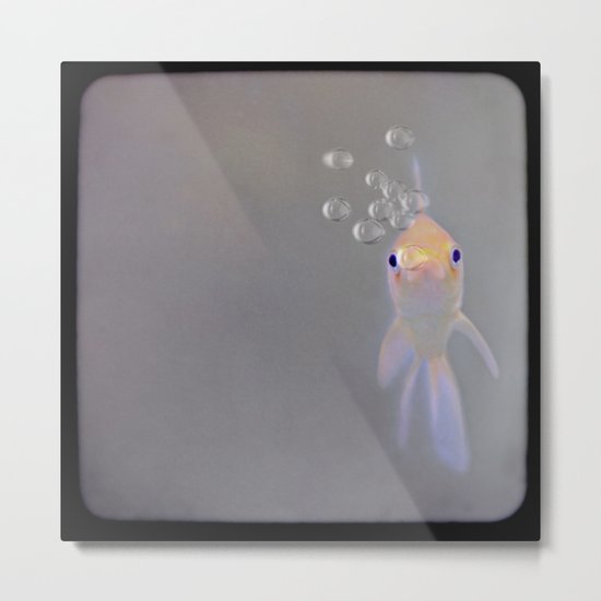 You looking at me, fishy? Metal Print