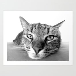Cat-actor Art Print