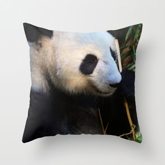 Panda Nap Throw Pillow